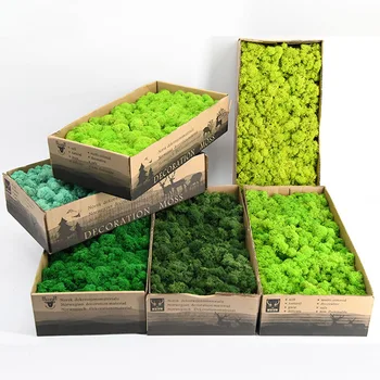 Kõrge Kvaliteet tehiskiududest Roheline Taim Surematu Võltsitud Lill Sammal Muru Kodu elutuba Dekoratiivse Seina DIY Lill Mini Tarvikud